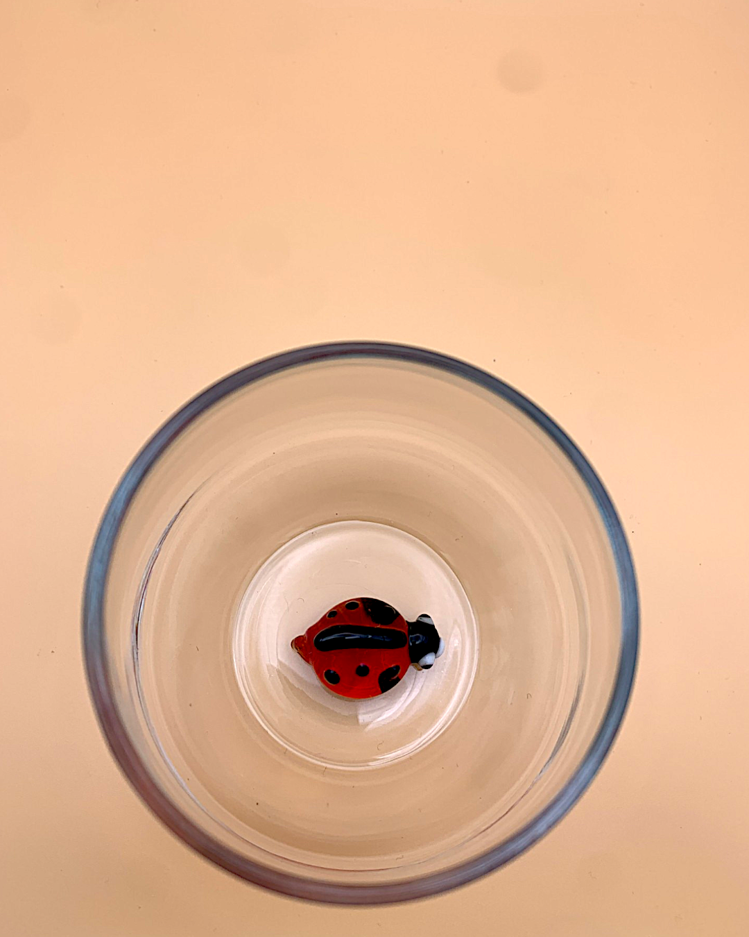Coccinelle Classique