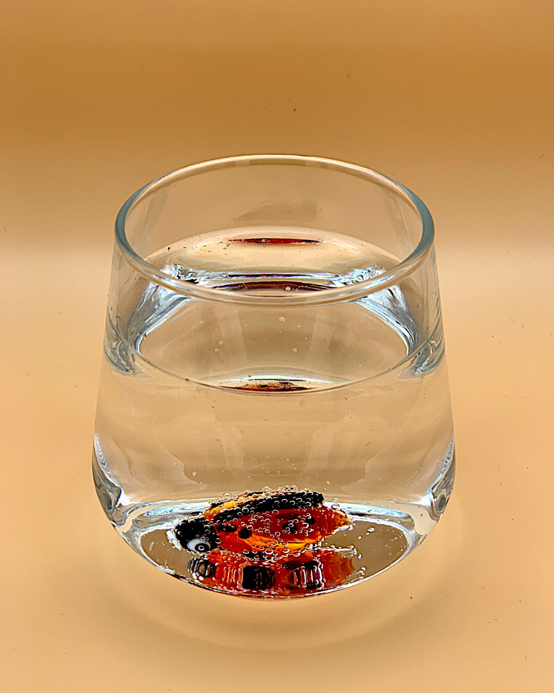 Marienkäfer Classic