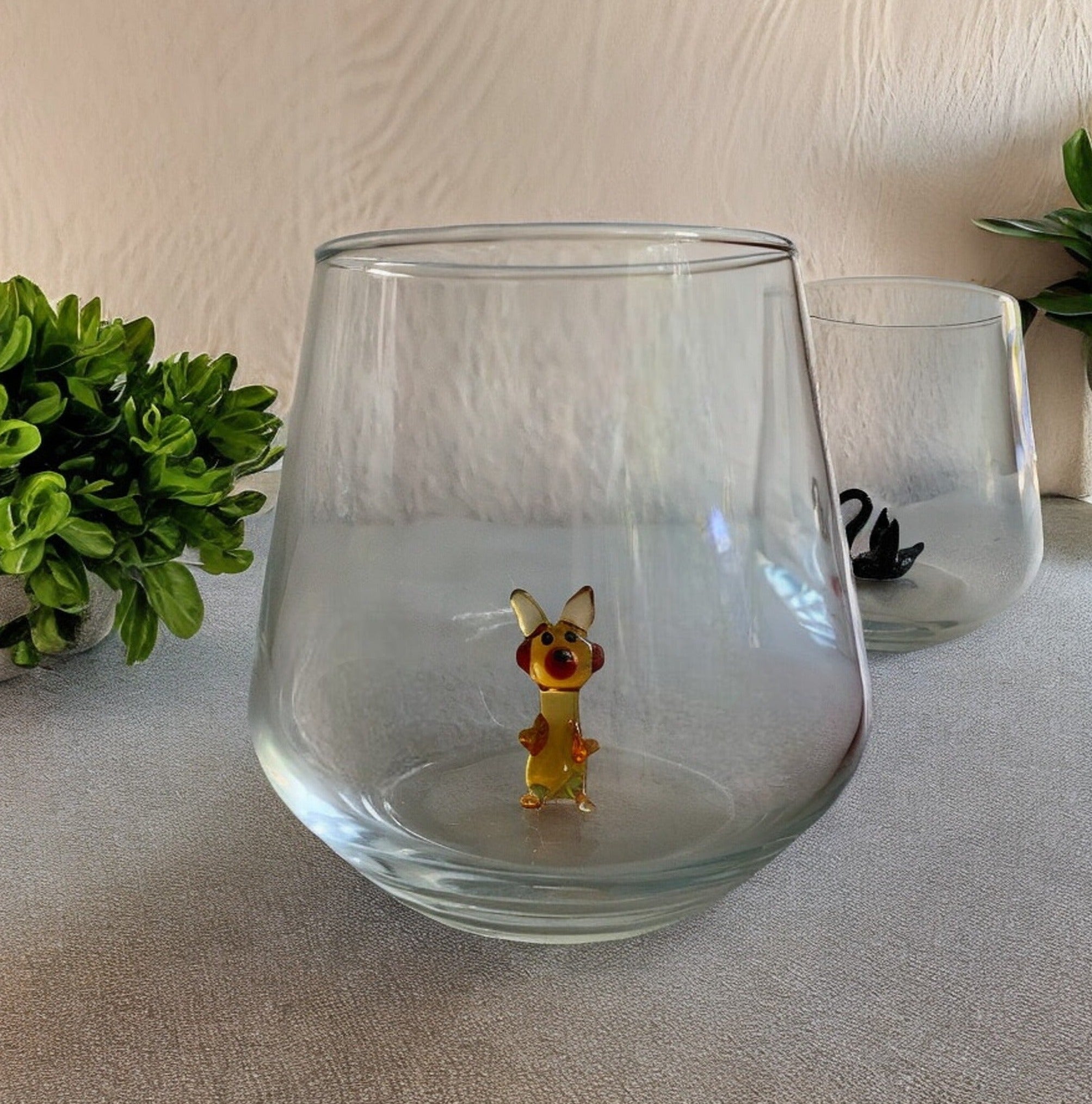 Hase